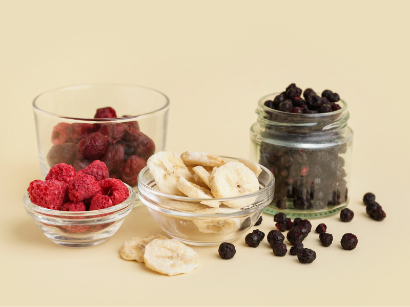 What Can Be Freeze Dried?