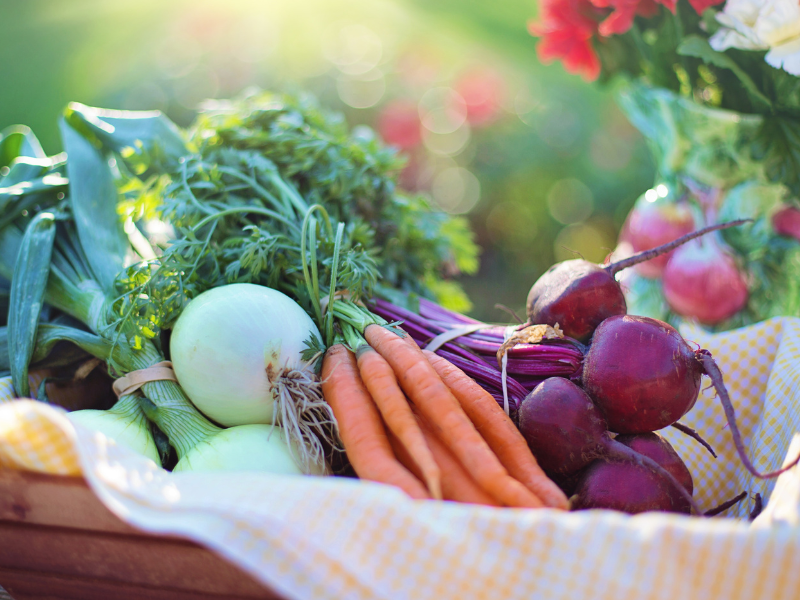 How to Grow Produce in the Winter