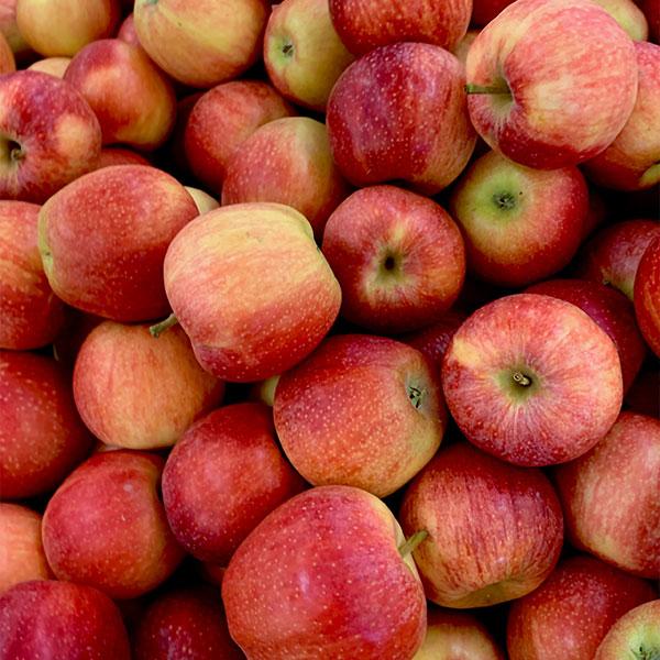 DIY- Storing and Canning Apples