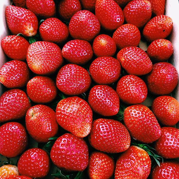 DIY - Canning Strawberries