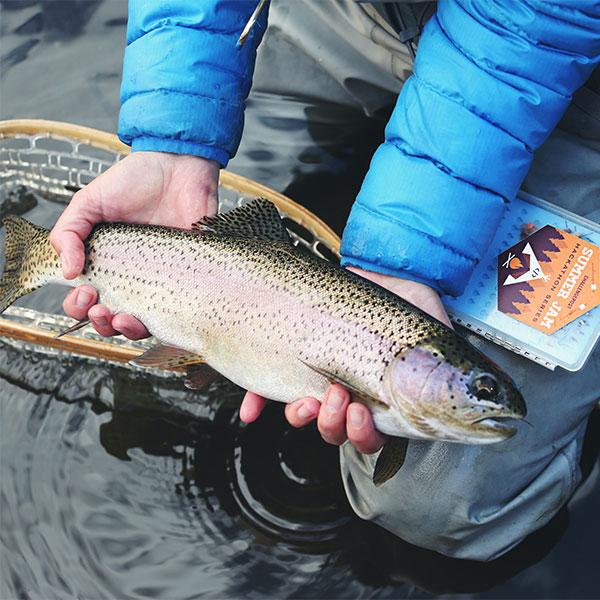 How to Clean a Fish