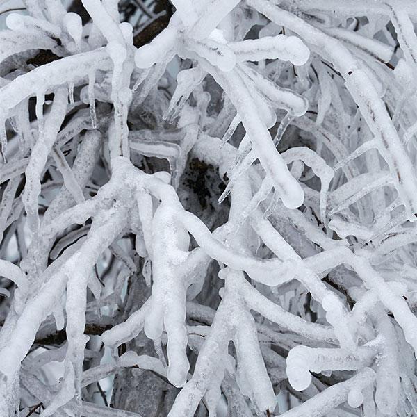 How to Prepare for an Ice Storm
