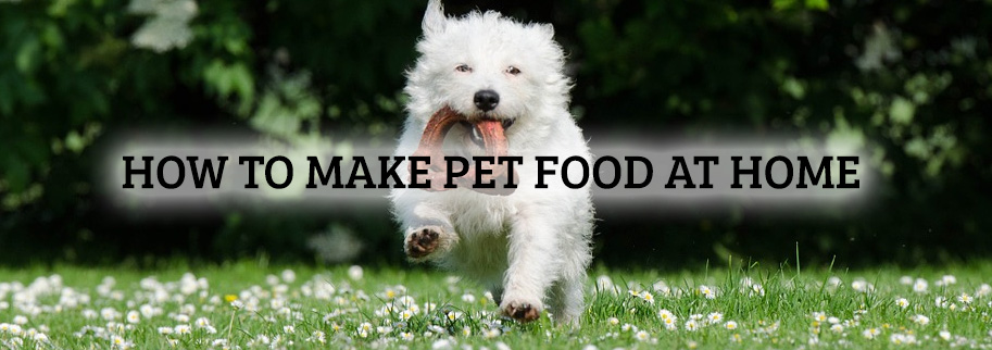 How to Make Pet Food at Home