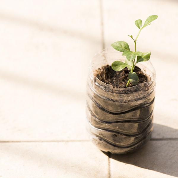 Gardening with Plastic Bottles