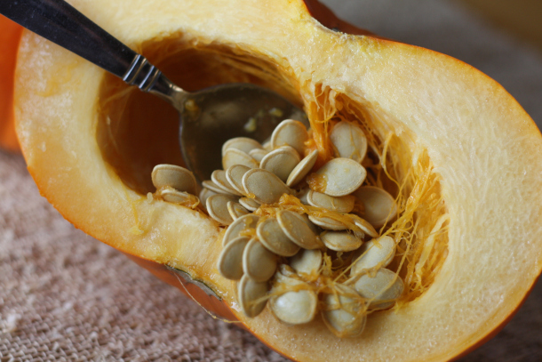 Uses for Pumpkins Seeds