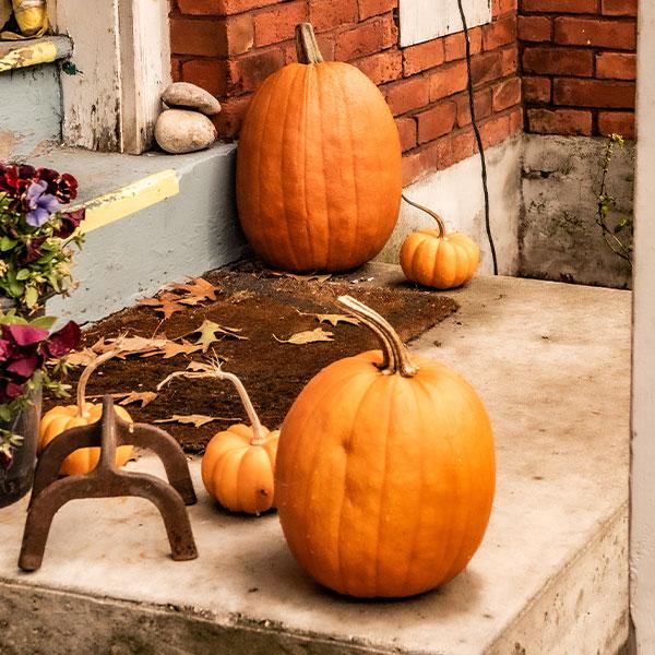 8 Things To Do with Your Leftover Pumpkins