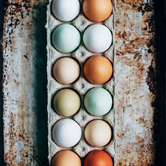 8 tips to help your chickens lay more eggs