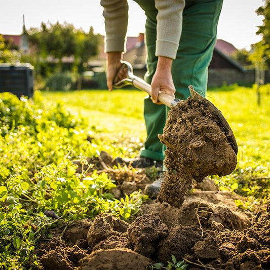 A Case for Rain Harvesting