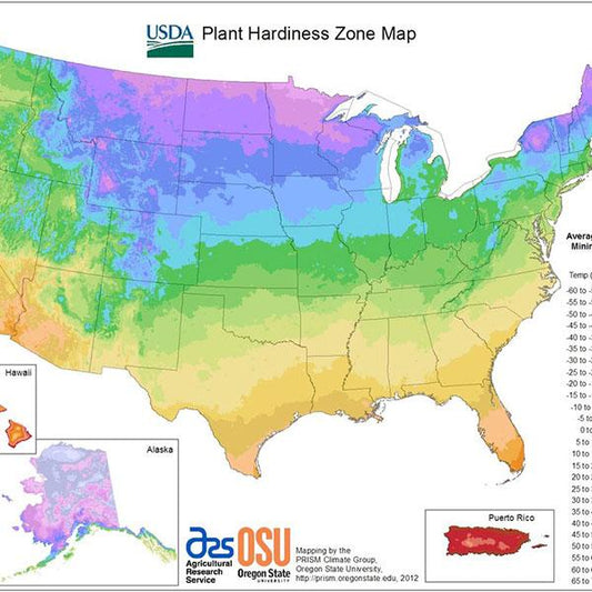 What Plants Are Ideal For Your Climate