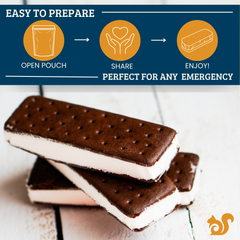 Freeze Dried Ice Cream Sandwich - Bundle 12 Packs