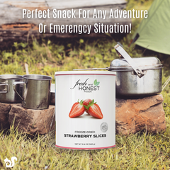 Perfect Freeze Dried Strawberry snack
