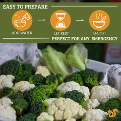 Fresh and Honest Foods Freeze Dried Mixed Vegetables
